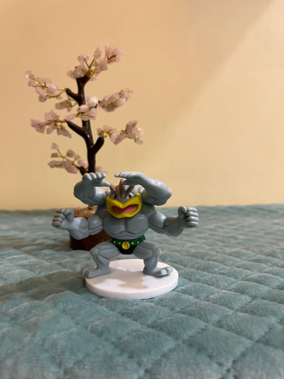 Pokemon Figure